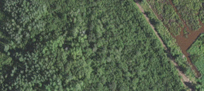 4893 Hwy 21