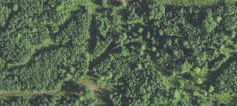Canyon, MN 55717