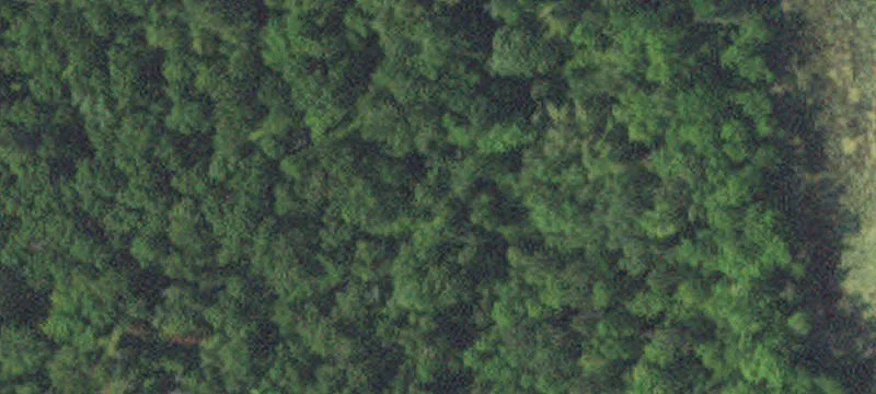Bemidji, MN 56601