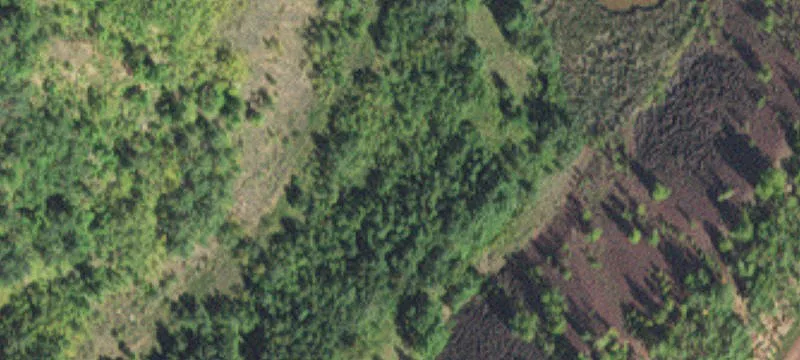 11254 Hwy 37
