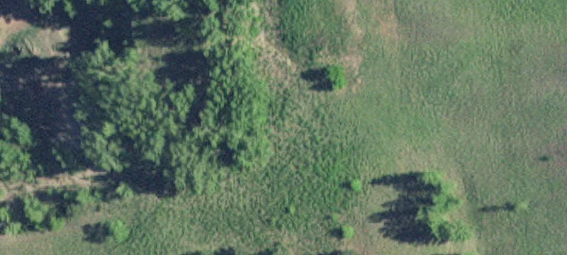 Starbuck, MN 56381