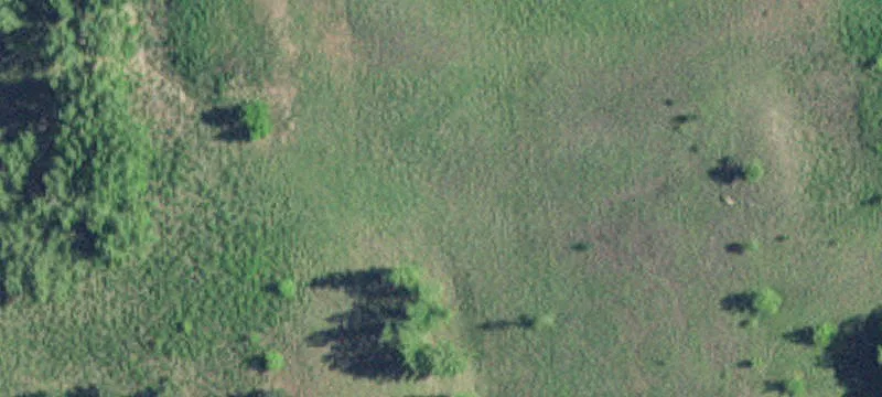 Starbuck, MN 56381