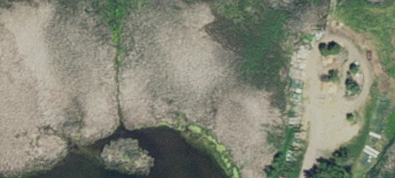 Glenwood, MN 56334