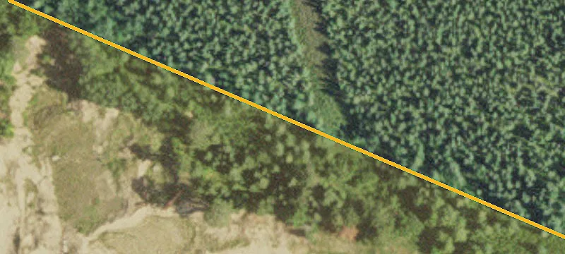Cook, MN 55723