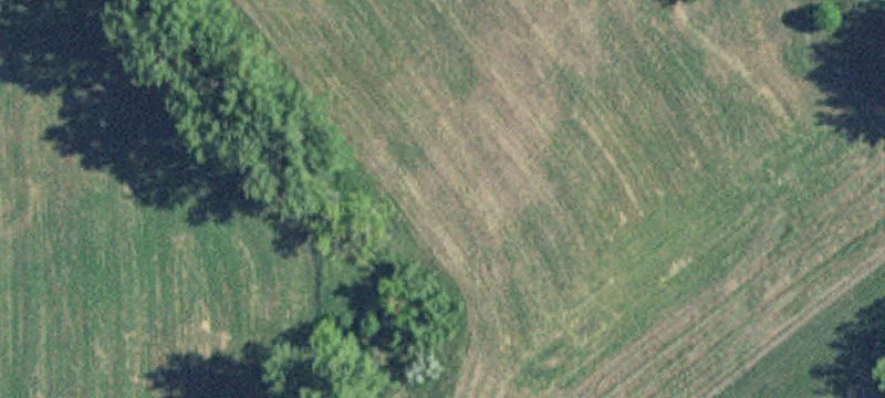 Starbuck, MN 56381