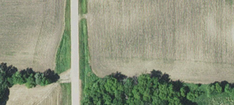Darwin, MN 55324