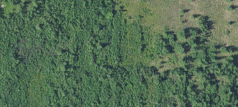 Litchfield, MN 55355