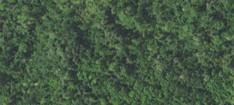 Bemidji, MN 56601