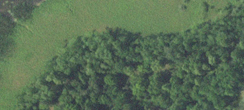 Bemidji, MN 56601