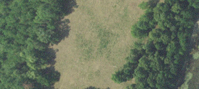 Bemidji, MN 56601