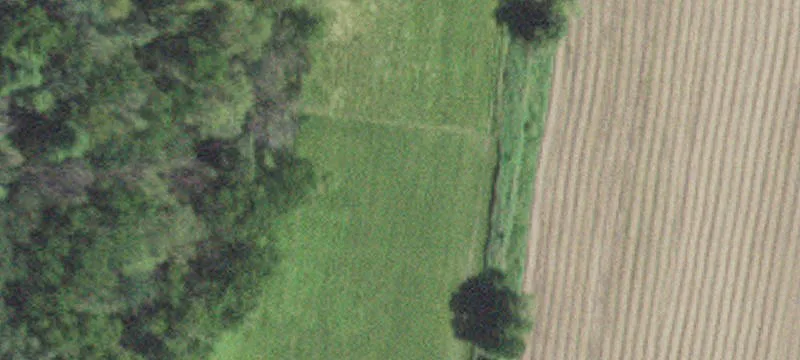 Lanesboro, MN 55949