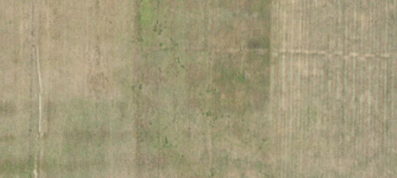 Hibbing, MN 55746