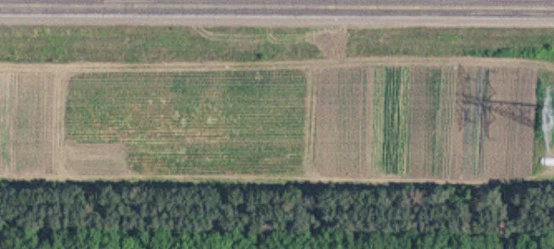 Afton, MN 55001