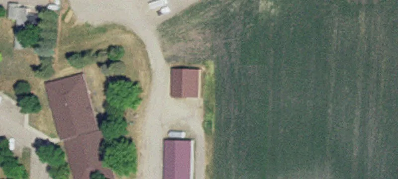 Raymond, MN 56282