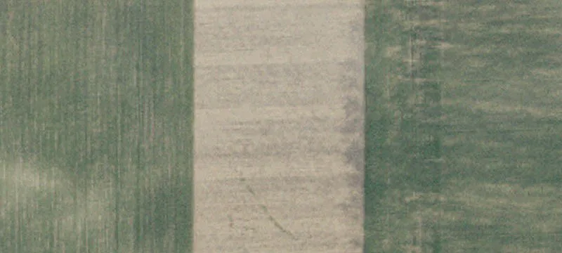 Willmar, MN 56201
