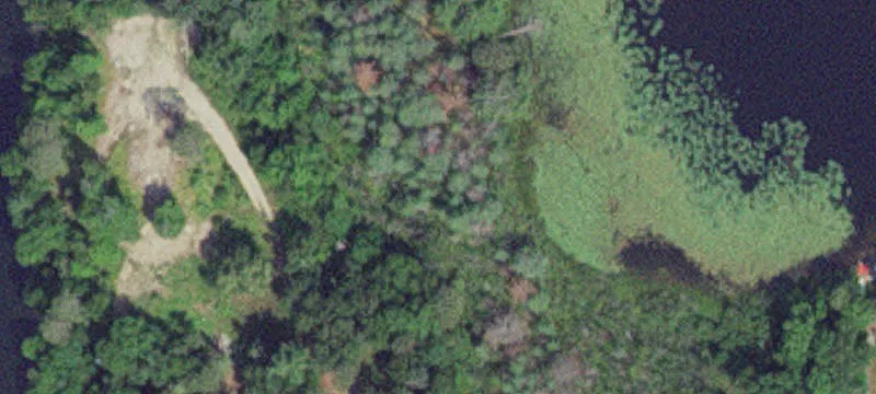 Fifty Lakes, MN 56448