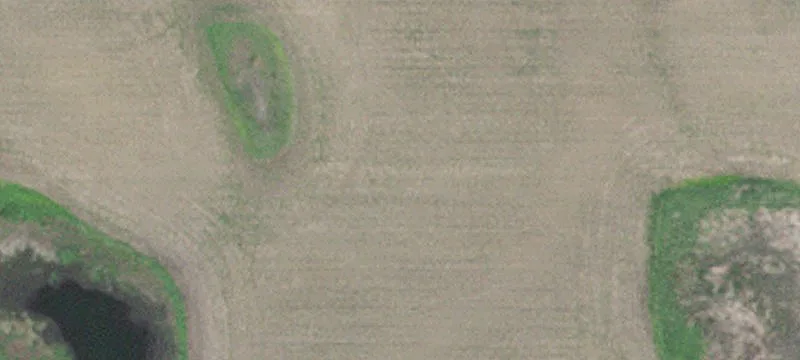 Saint Joseph, MN 56374