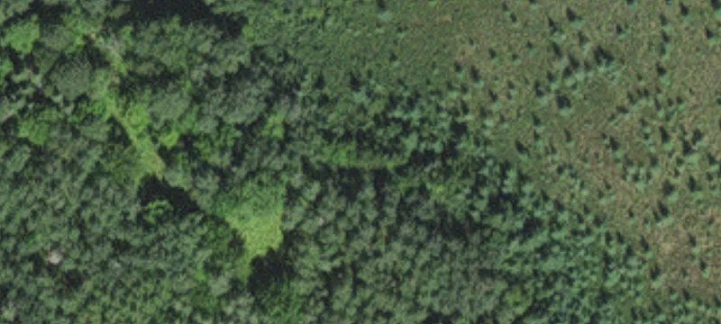 2132 Hwy 73