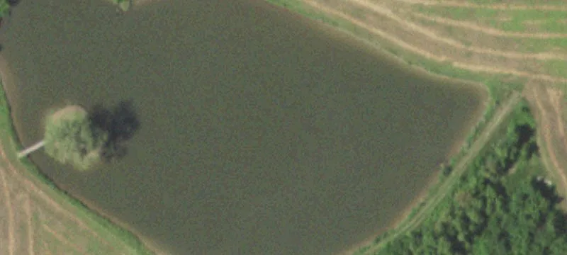 19135 County Rd P P