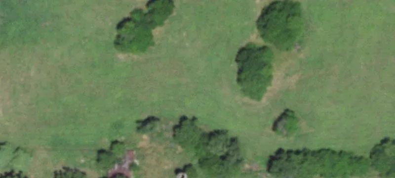 1770 Farm Rd 45