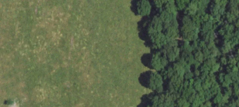 Hartville, MO 65667