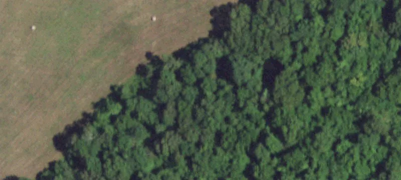 Norwood, MO 65717