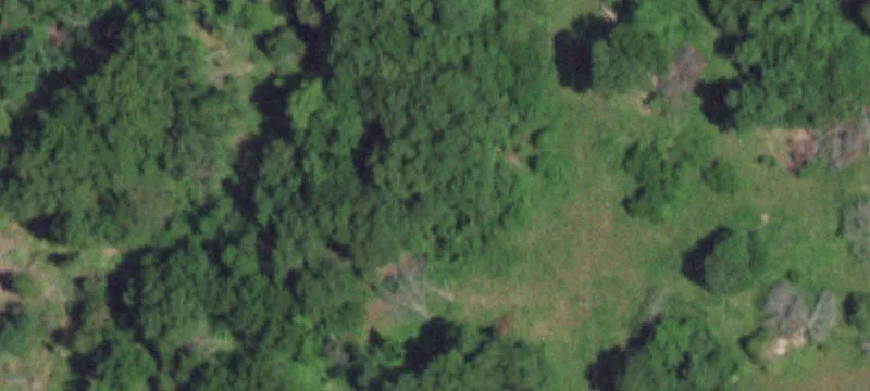 Grovespring, MO 65662