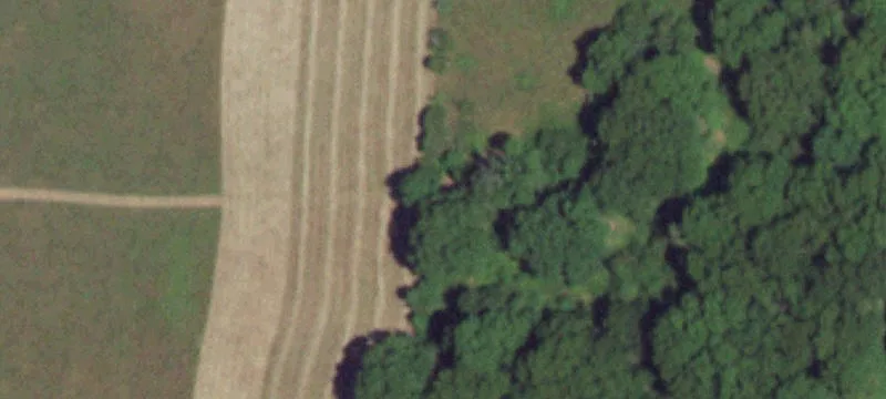 Grovespring, MO 65662
