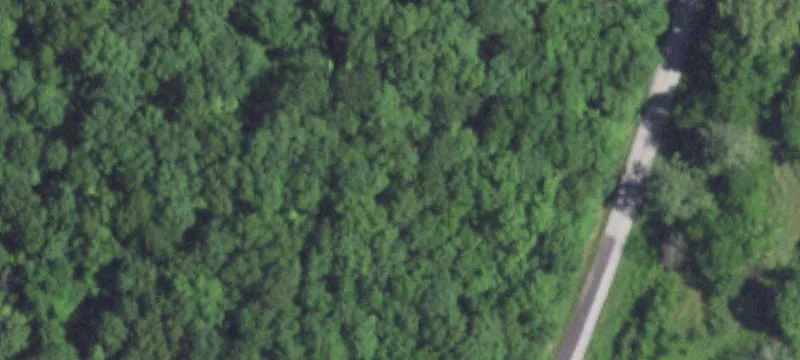 Falcon, MO 65470