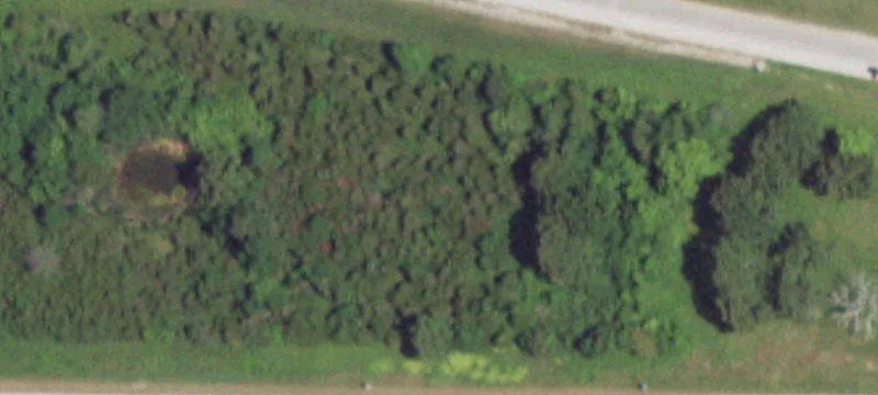 Norwood, MO 65717