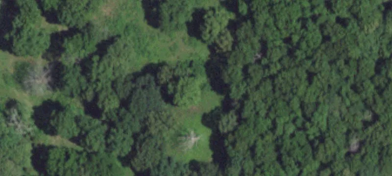 Grovespring, MO 65662