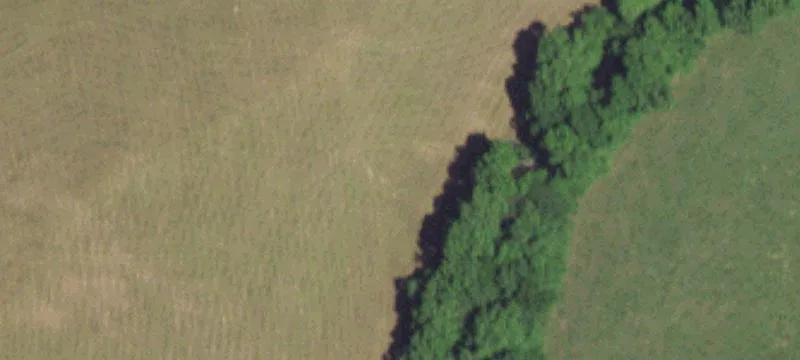 Grovespring, MO 65662