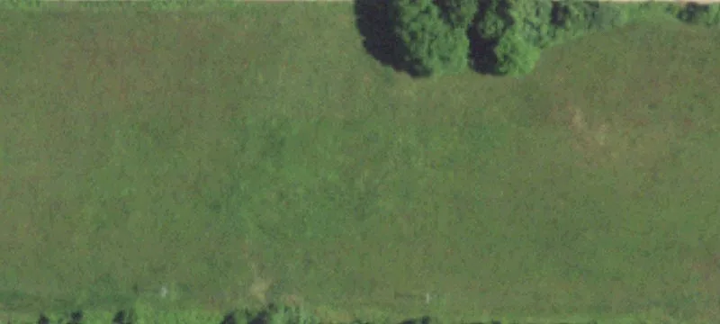 Norwood, MO 65717