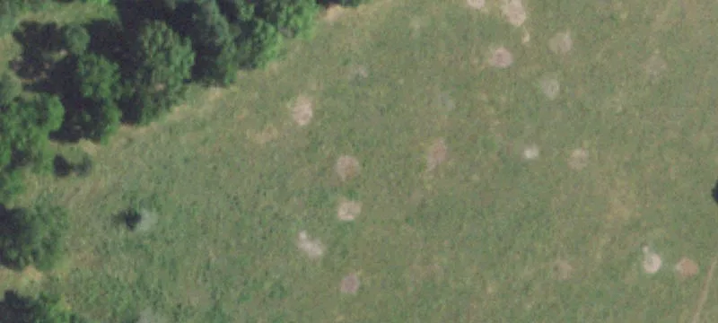 Hartville, MO 65667