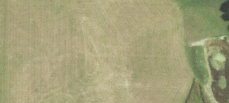Rogersville, MO 65742