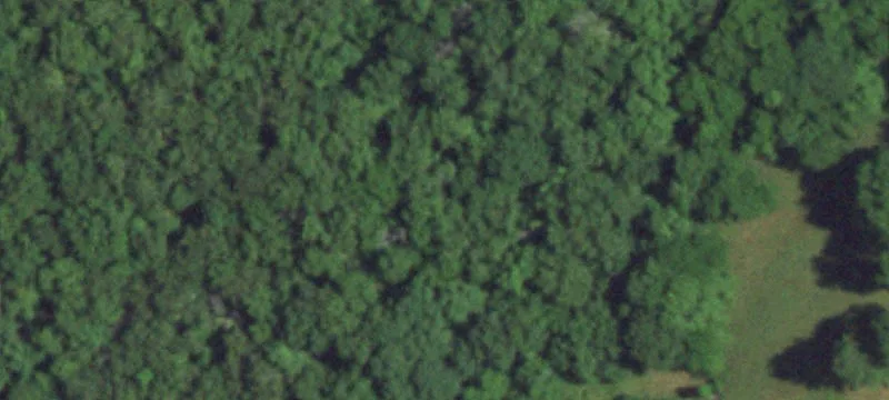 Norwood, MO 65717