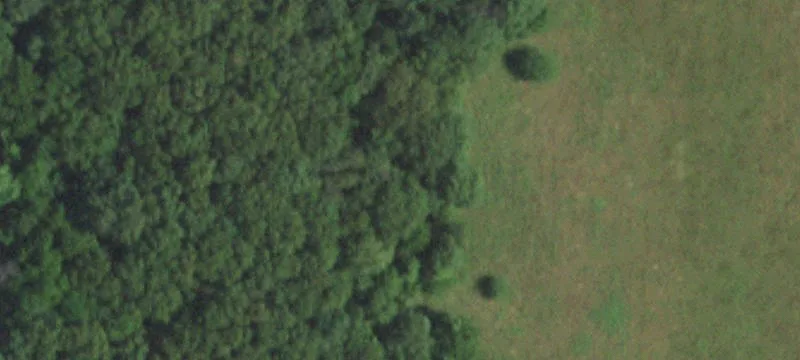 Hartville, MO 65667