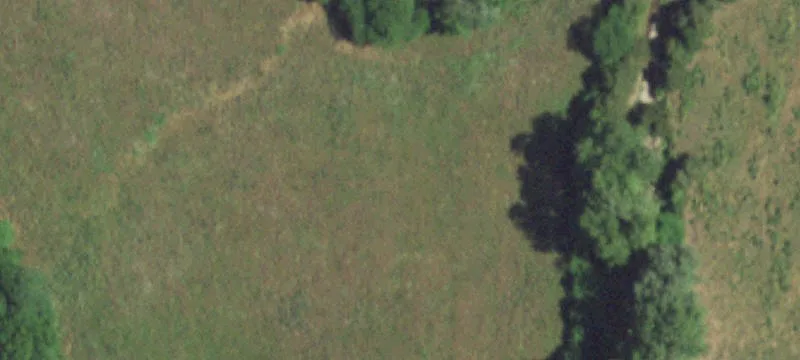 Norwood, MO 65717