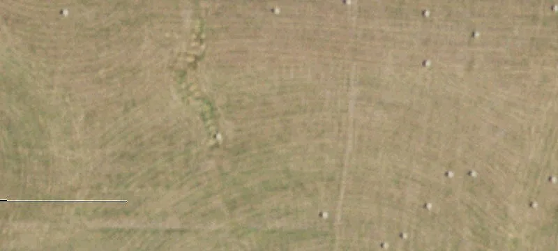 Norwood, MO 65717