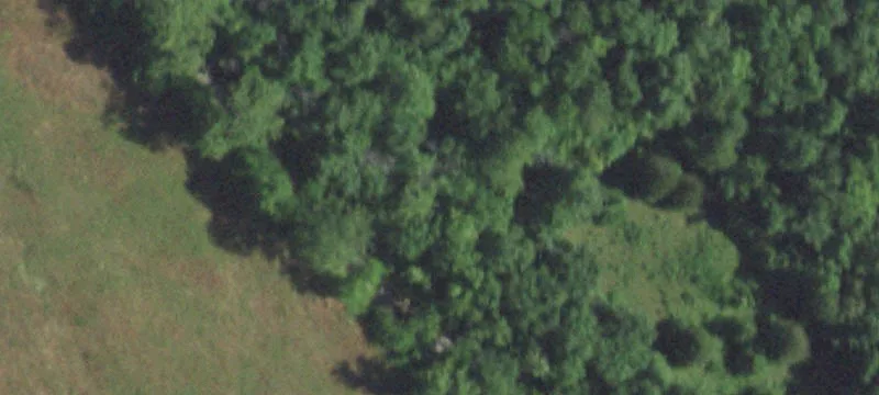 Hartville, MO 65667