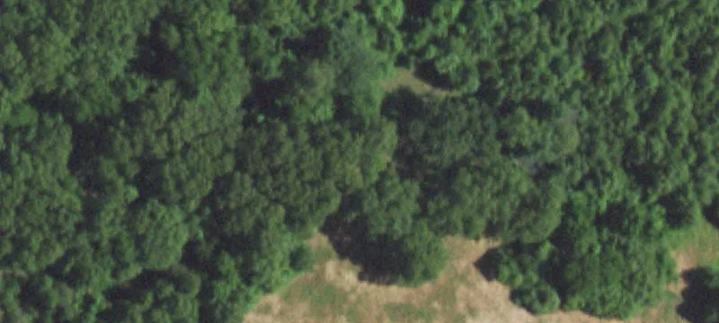 Macomb, MO 65702