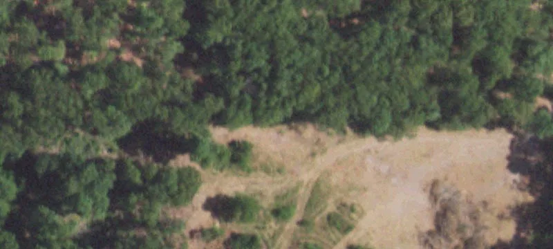 Mansfield, MO 65704