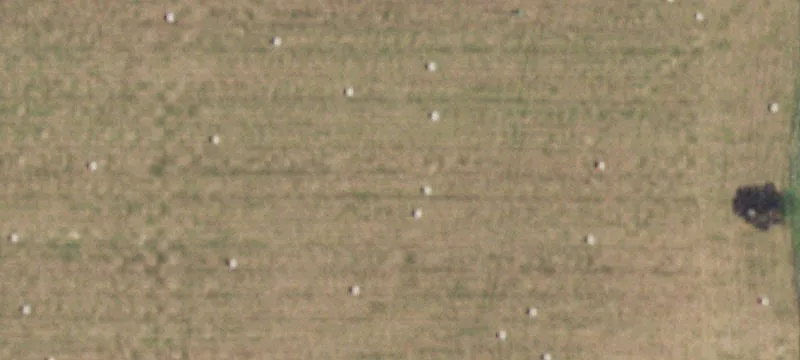 Norwood, MO 65717
