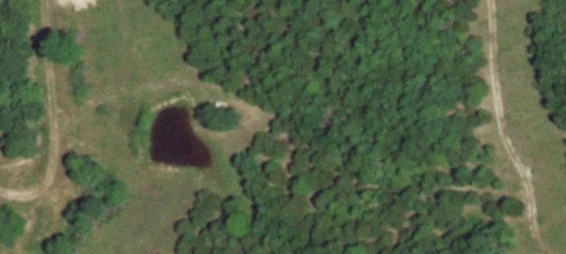 Grovespring, MO 65662