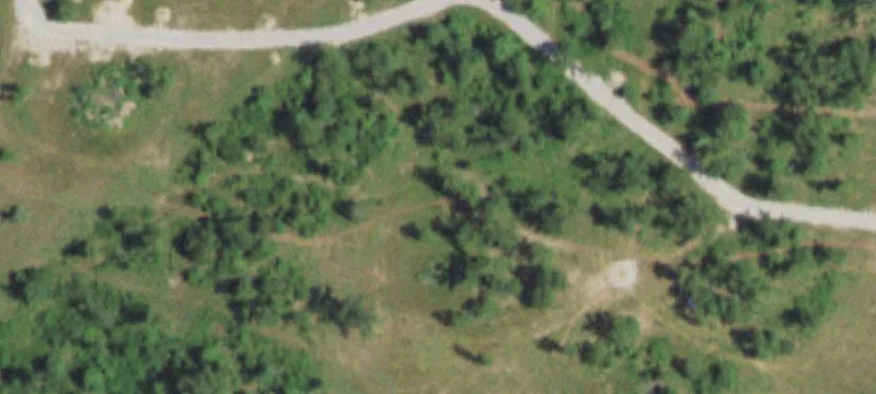 Grovespring, MO 65662