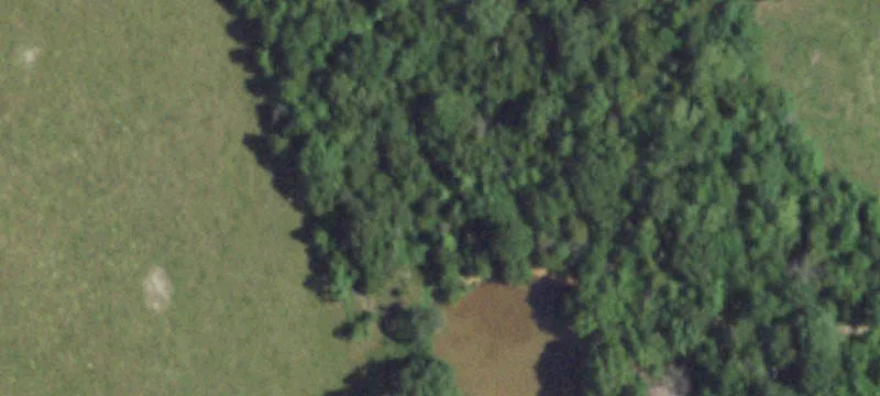 Hartville, MO 65667