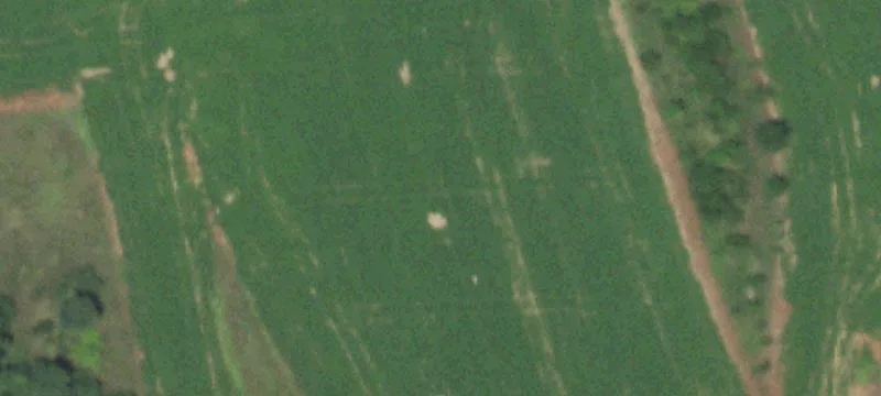 19005 County Rd H H