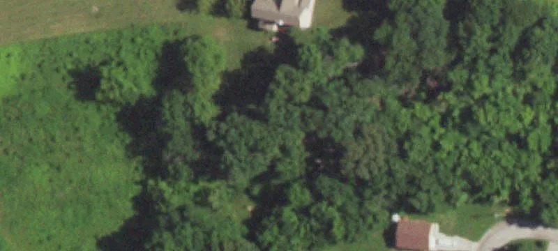 2909 Us Hwy 61