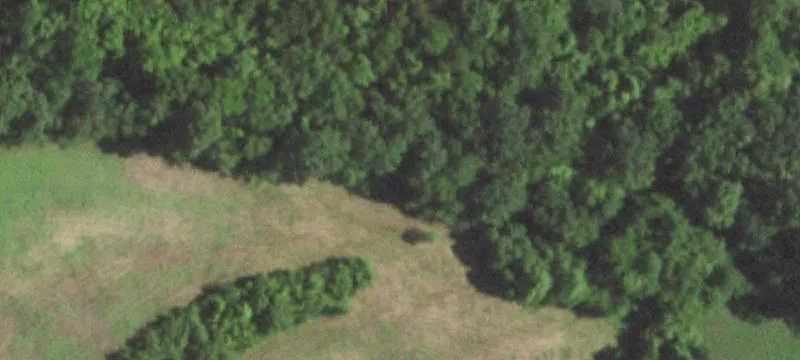Festus, MO 63028