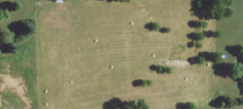 Norwood, MO 65717